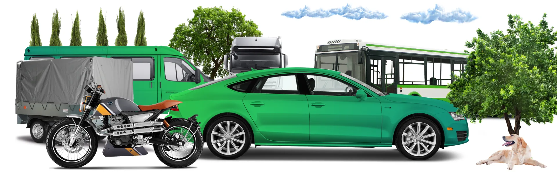 Купить права